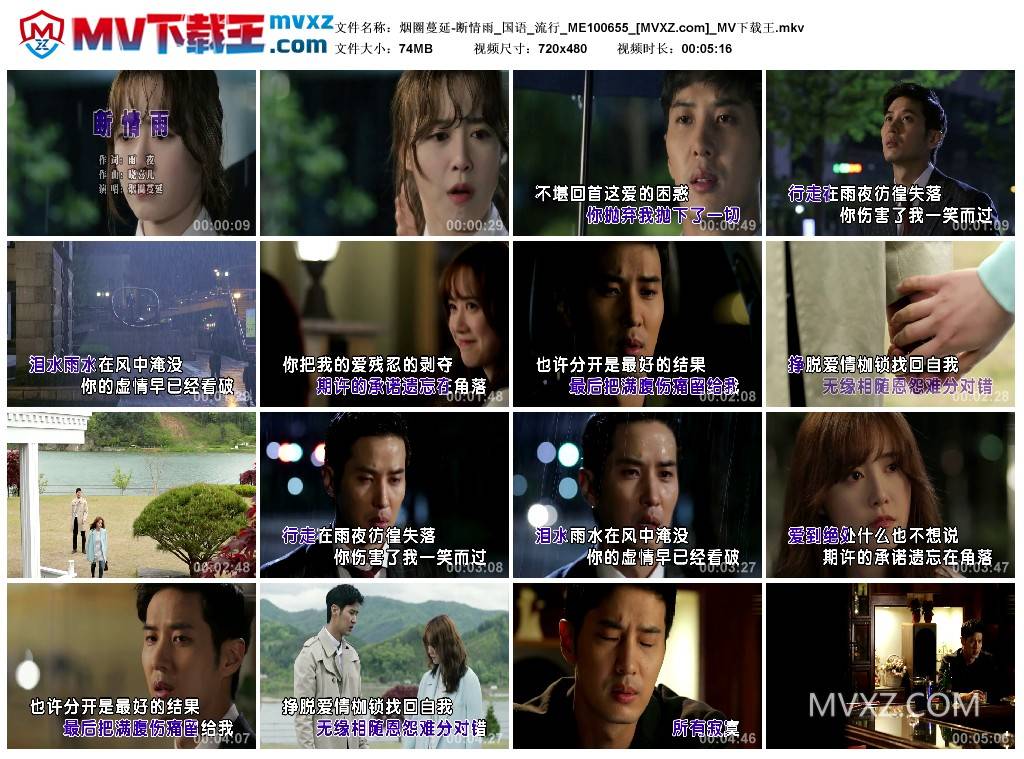 烟圈蔓延-断情雨_国语_流行_ME100655